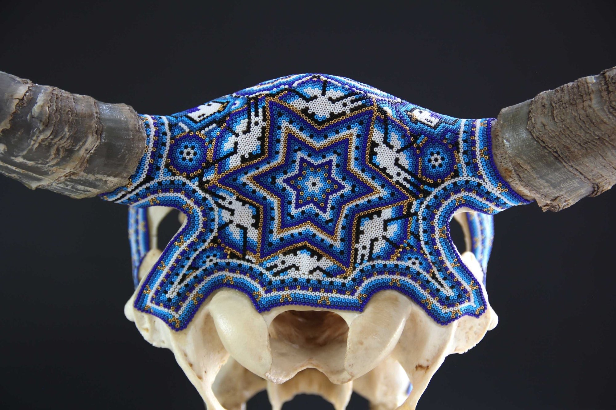 Arte Huichol del teschio di mucca - Xurawe Temai - Arte Huichol - Marakame