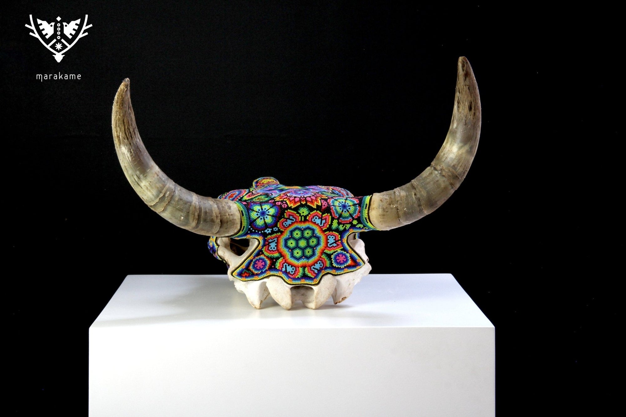 Cranio di mucca Huichol Art - Xurawe temai - Huichol Art - Marakame