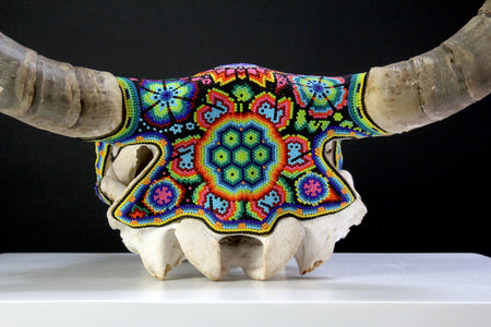 Cráneo de vaca Arte Huichol - Xurawe temai - Arte Huichol - Marakame