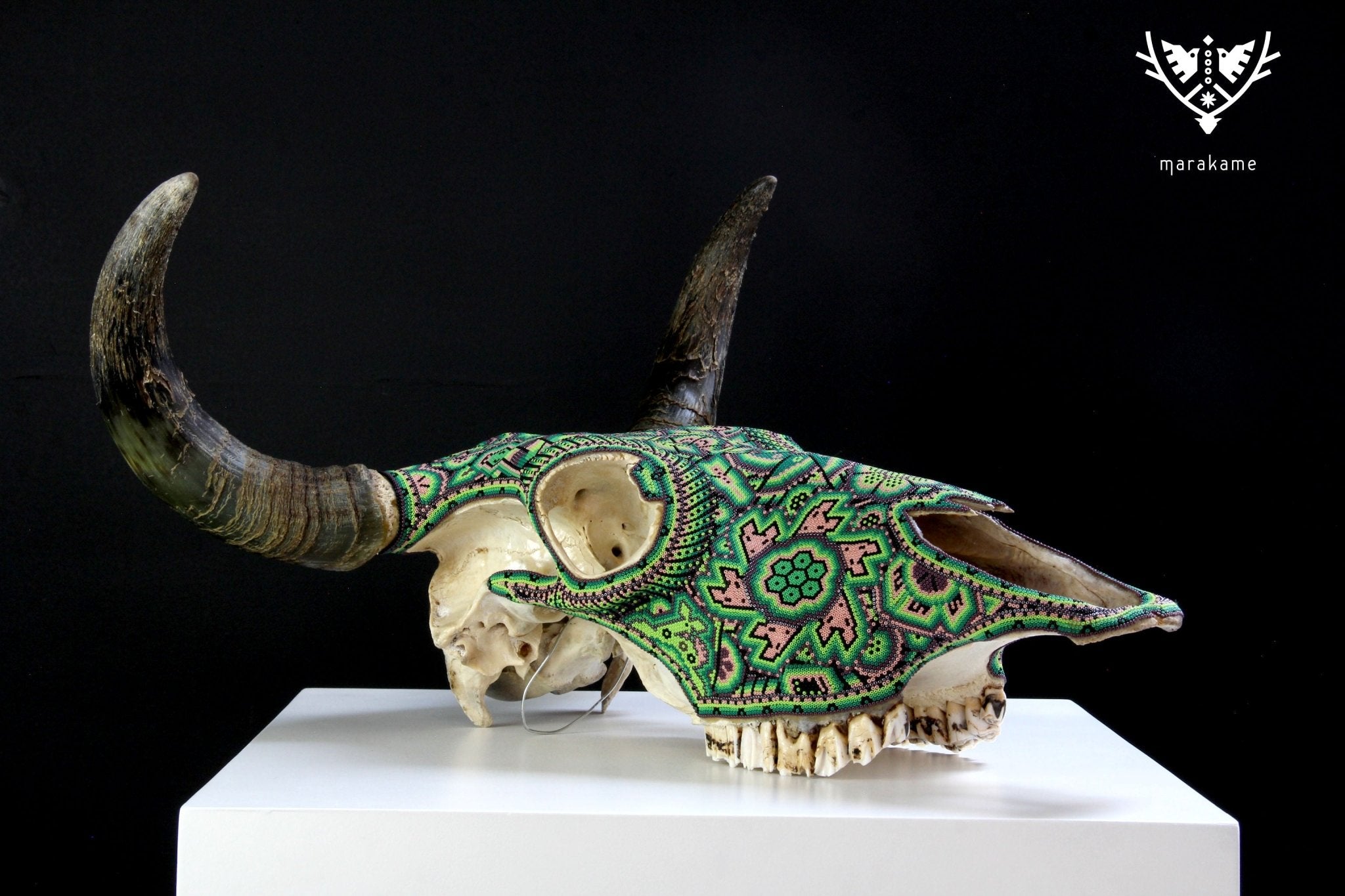 Crâne de vache Art Huichol - xurawe tuutú - Art Huichol - Marakame