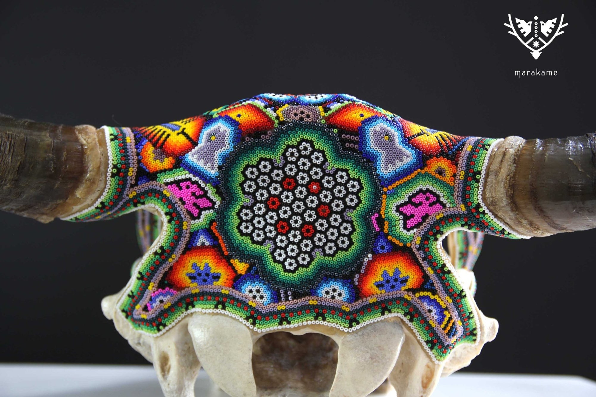 Crâne de vache Huichol Art - Xurawe wexik+a - Huichol Art - Marakame