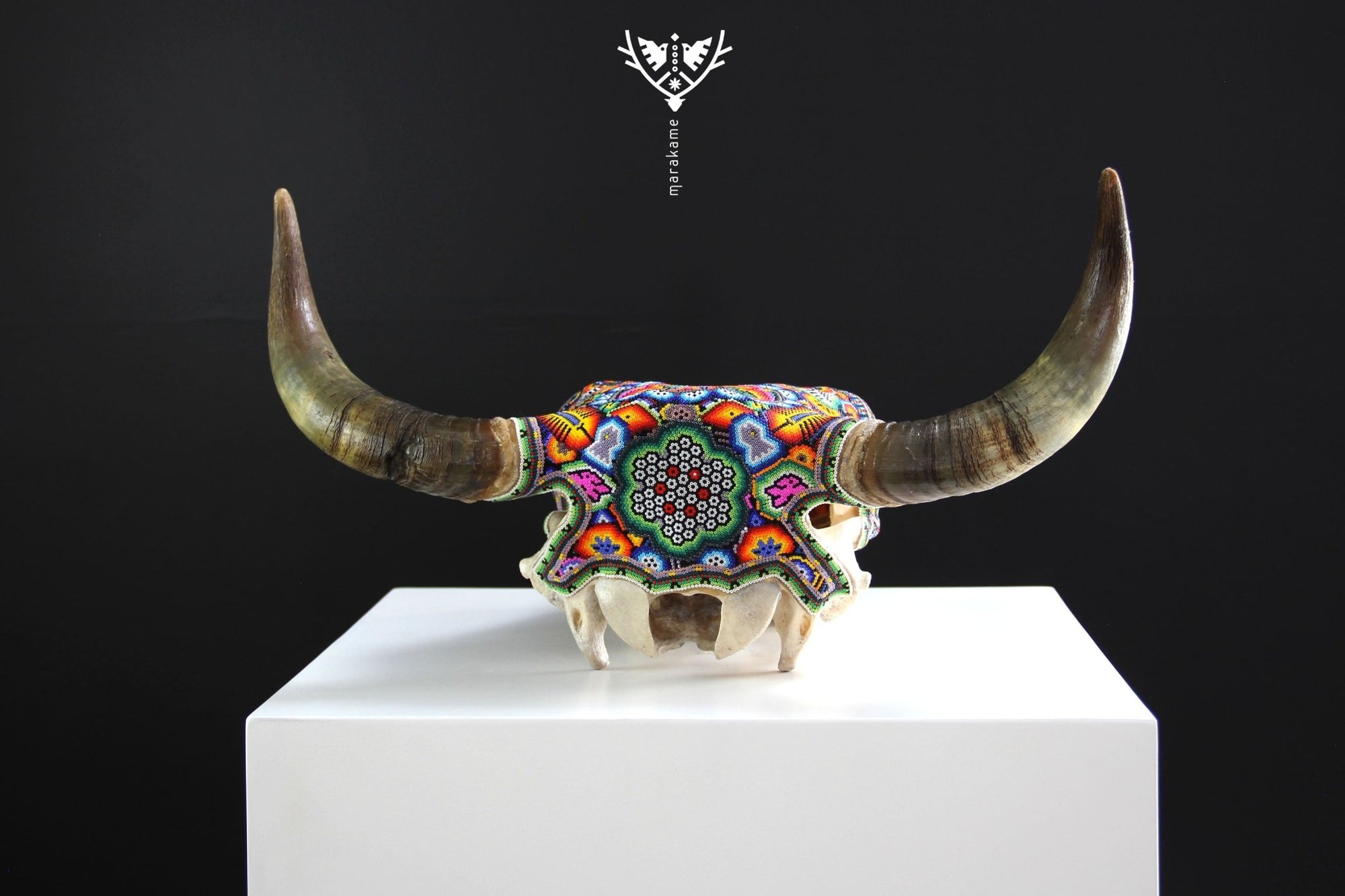牛の頭蓋骨ウイチョルアート - Xurawe wexik+a - ウイチョルアート - マラカメ