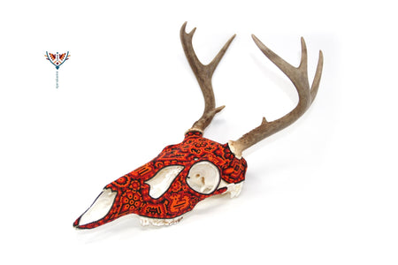 Huichol Deer Skull - "Ciyé" - Huichol Art - Marakame