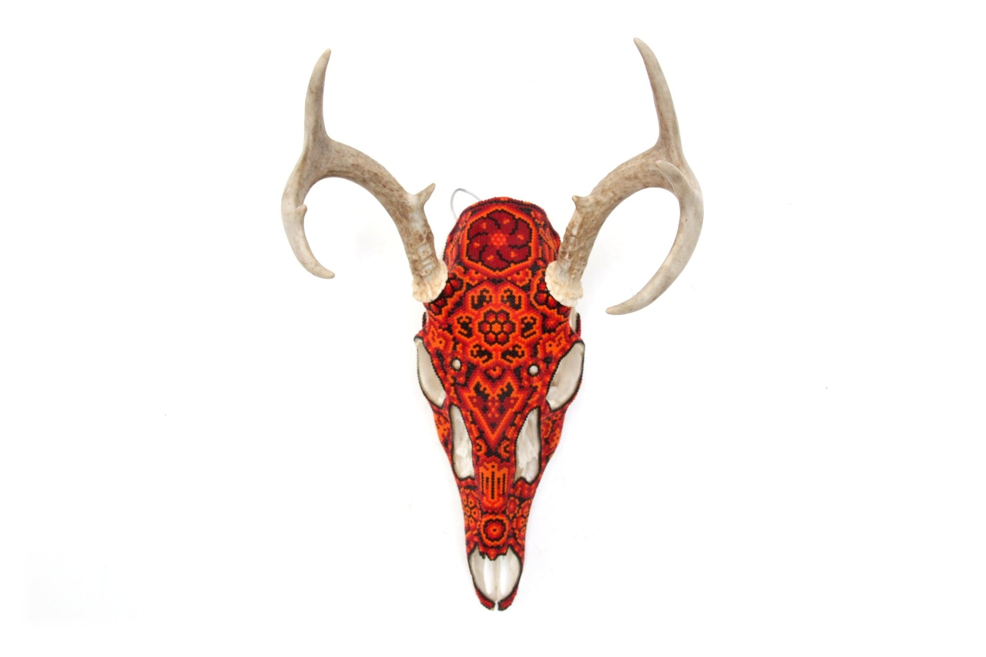 Huichol-Hirschschädel - Ciyé - Huichol-Kunst - Marakame