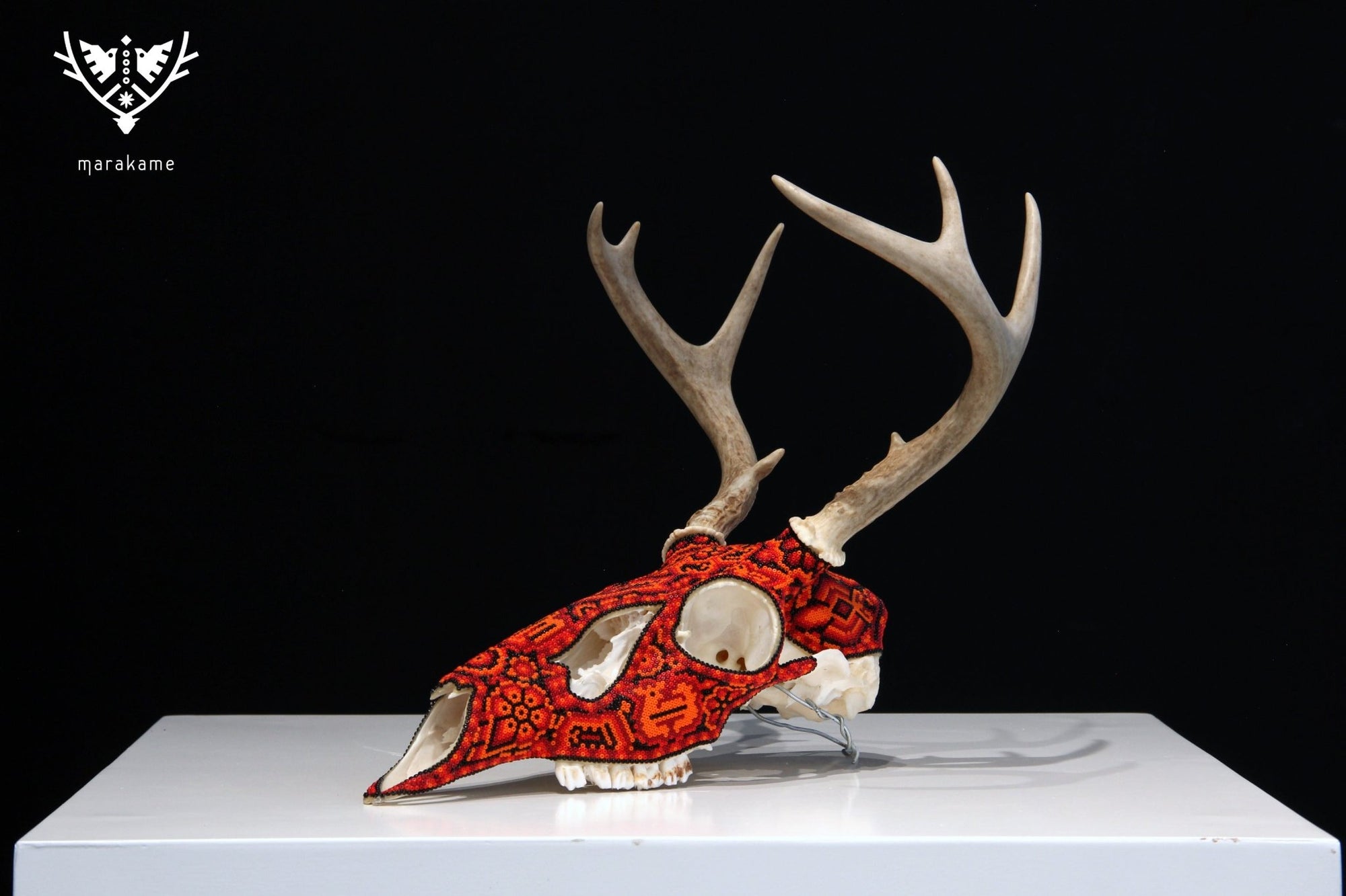 Huichol-Hirschschädel - Ciyé - Huichol-Kunst - Marakame