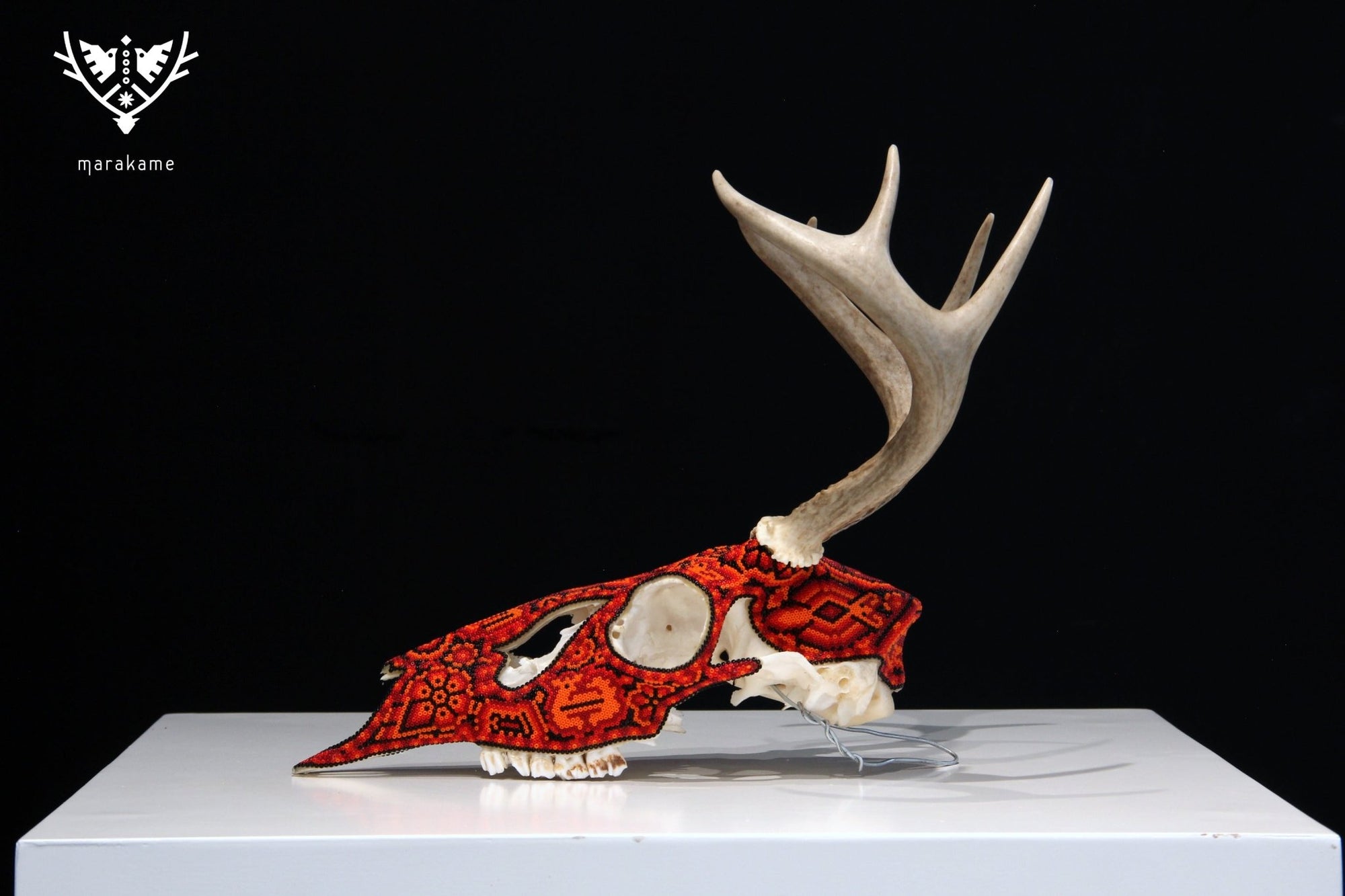 Huichol-Hirschschädel - Ciyé - Huichol-Kunst - Marakame