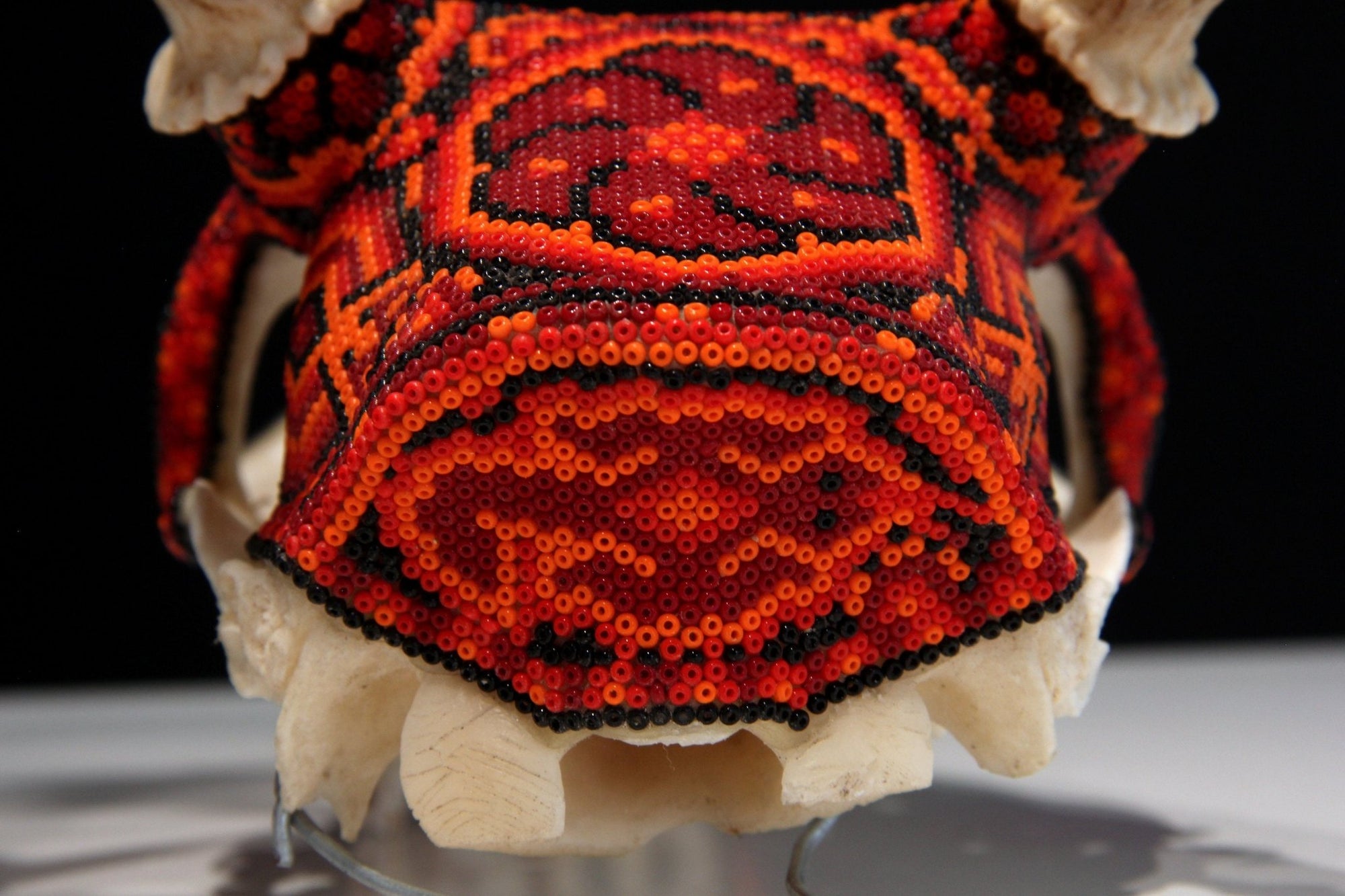 Huichol-Hirschschädel - Ciyé - Huichol-Kunst - Marakame