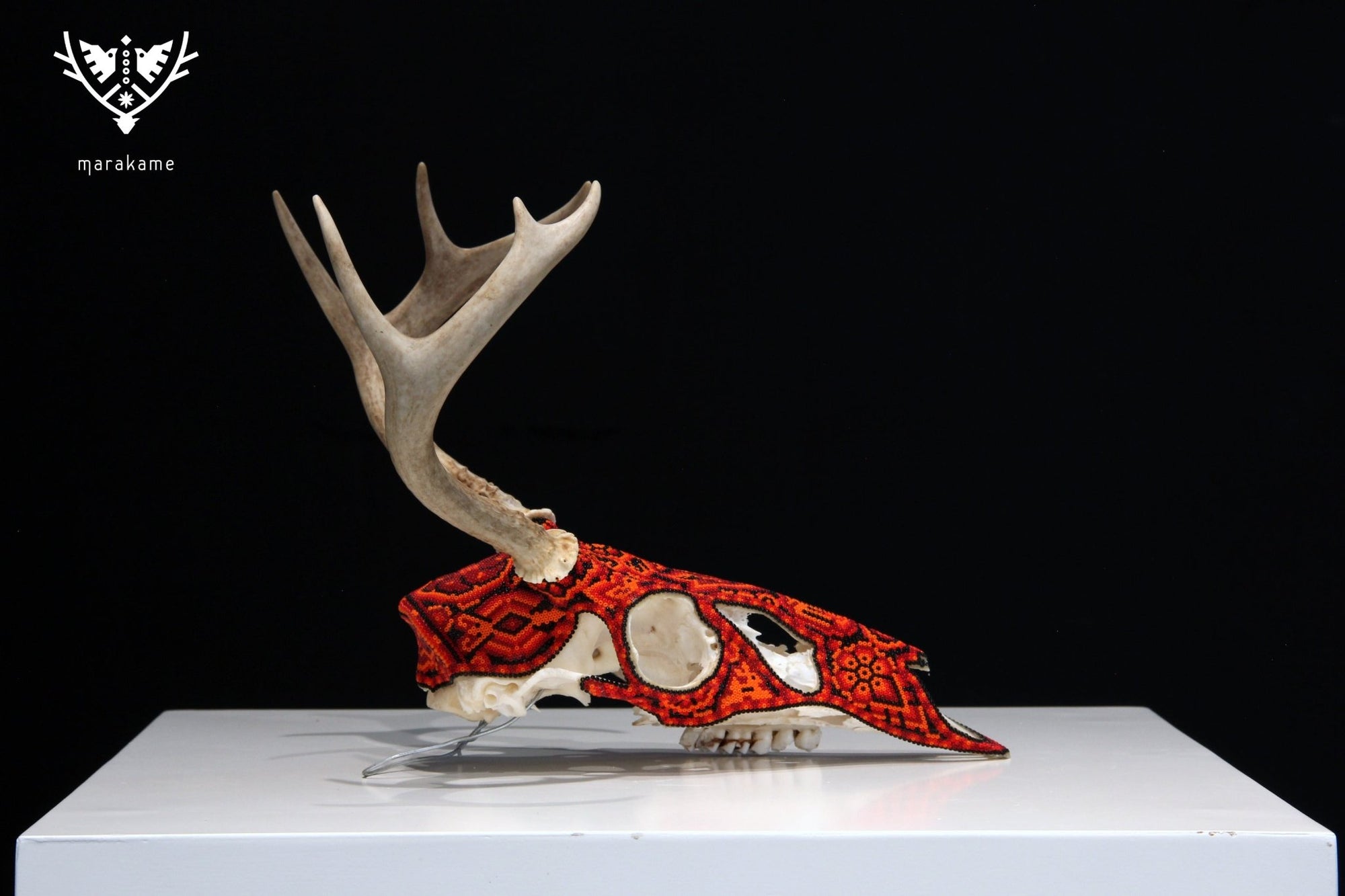 Huichol-Hirschschädel - Ciyé - Huichol-Kunst - Marakame