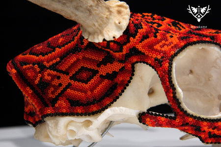 Huichol-Hirschschädel - Ciyé - Huichol-Kunst - Marakame