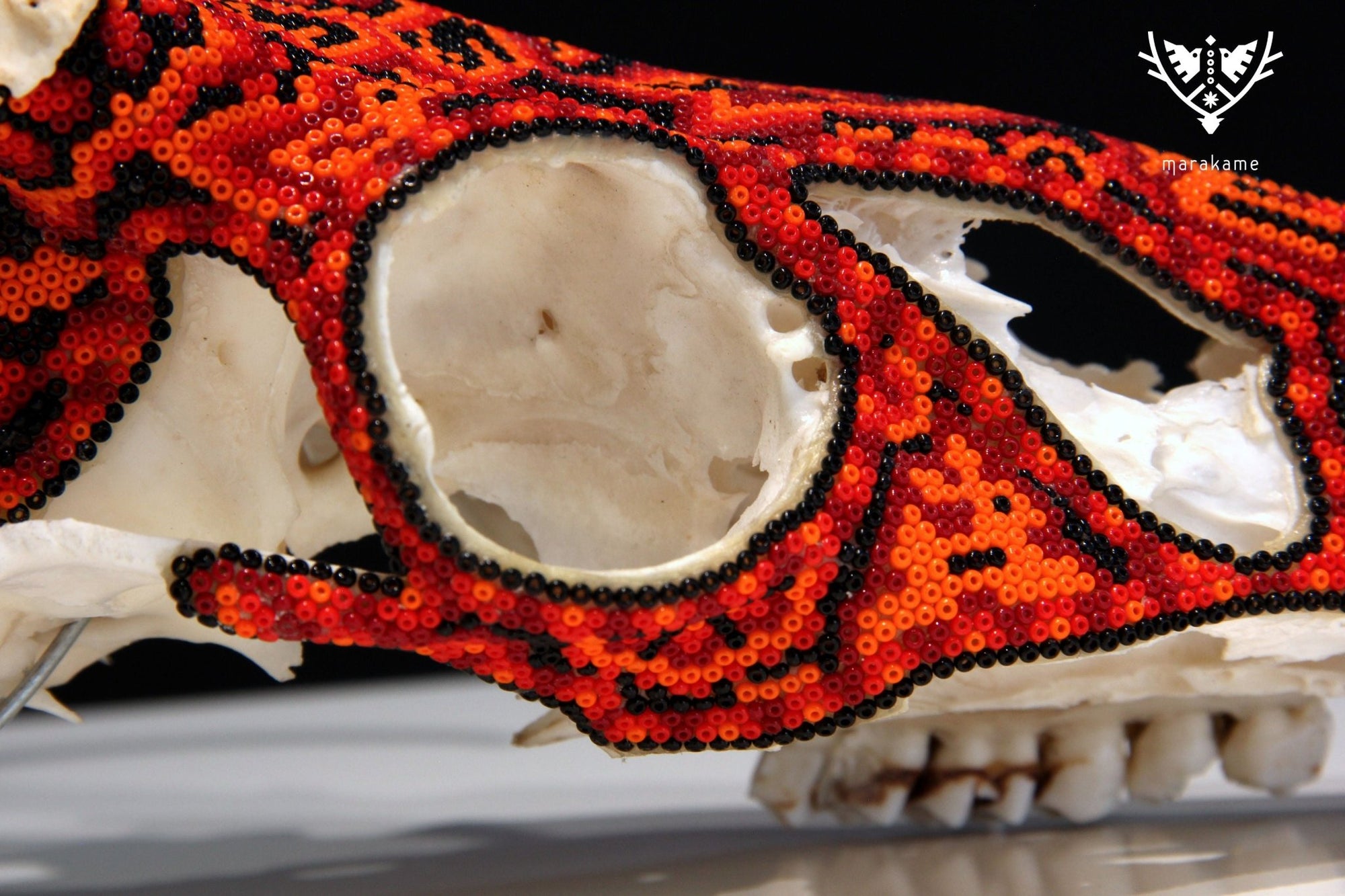 Huichol-Hirschschädel - Ciyé - Huichol-Kunst - Marakame