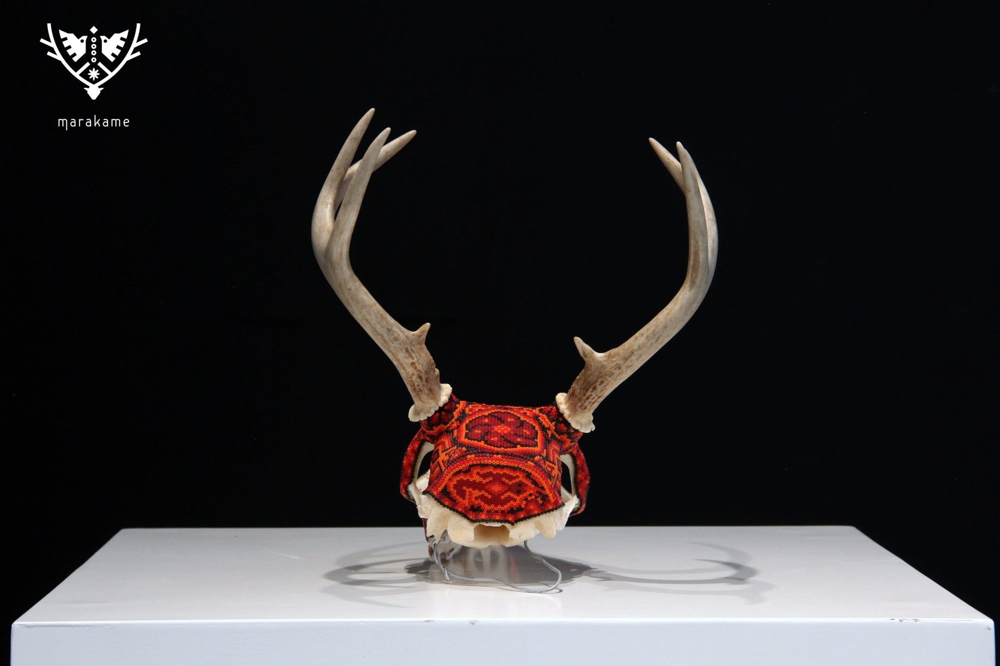 Huichol-Hirschschädel - Ciyé - Huichol-Kunst - Marakame