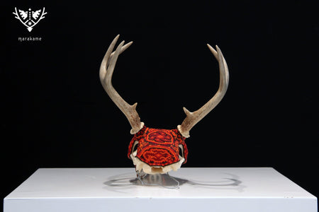 Huichol-Hirschschädel - Ciyé - Huichol-Kunst - Marakame