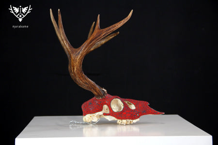 Huichol Deer Skull - Xawe Tatewari - Huichol Art - Marakame