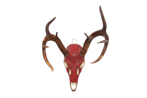 ウイチョル鹿の頭蓋骨 - Xawe Tatewari - ウイチョル アート - マラカメ