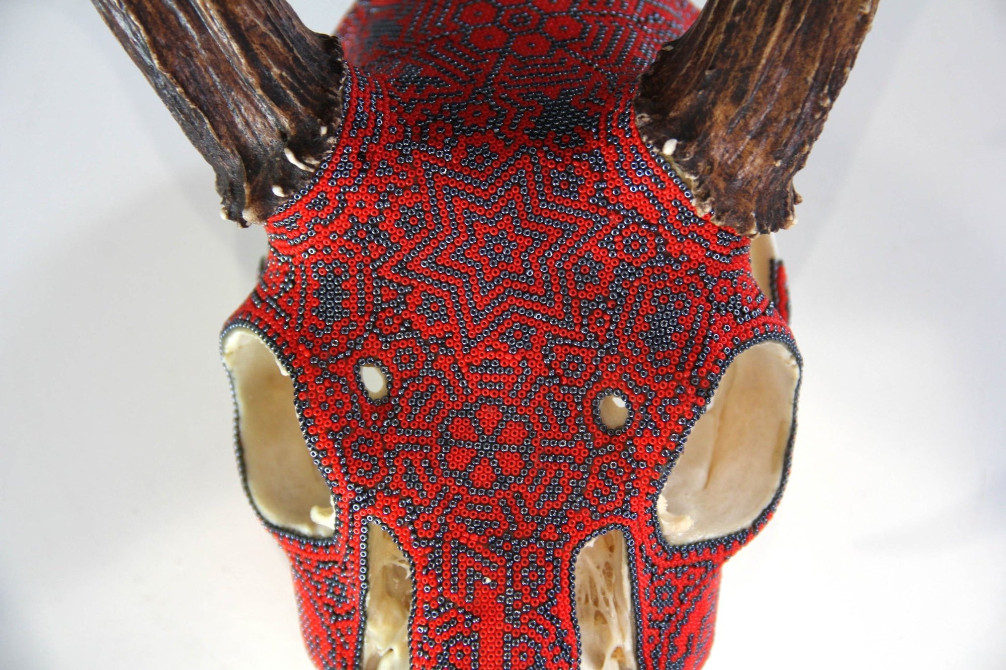 Crâne de cerf Huichol - Xawe Tatewari - Art Huichol - Marakame