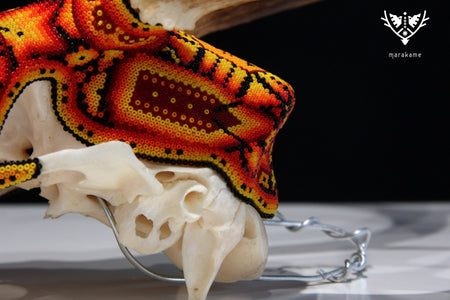 Huichol Deer Skull - Xunuri - Huichol Art - Marakame