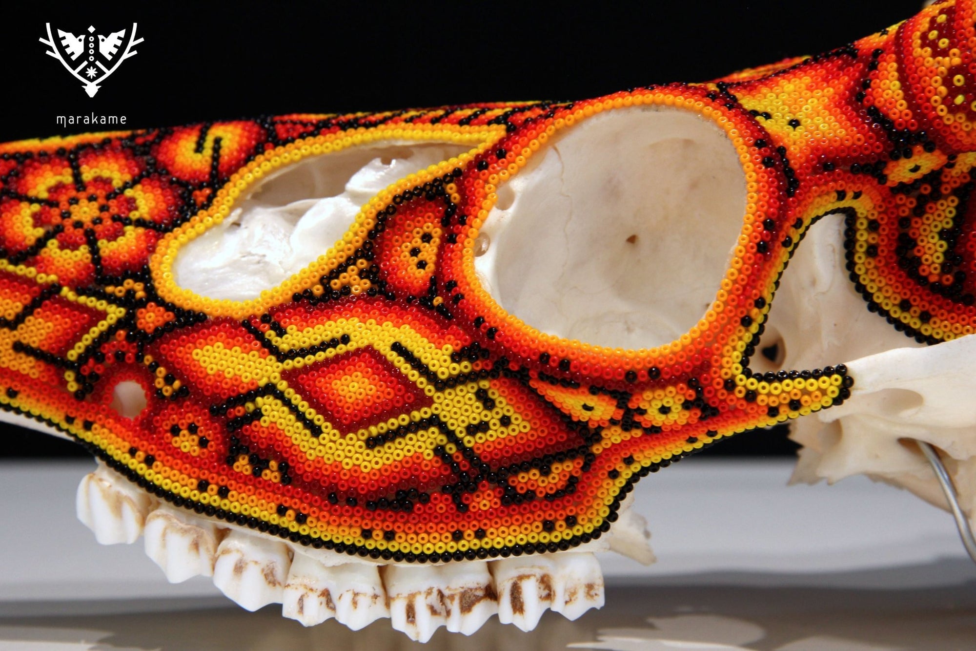 Cráneo de Venado Huichol - Xunuri - Arte Huichol - Marakame