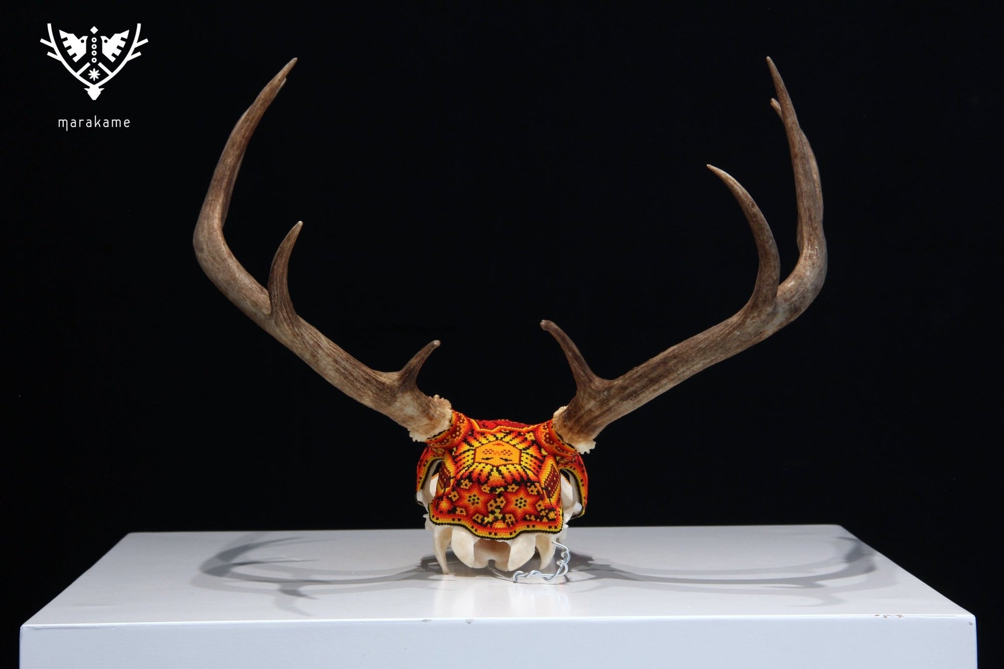 Huichol Deer Skull - Xunuri - Huichol Art - Marakame