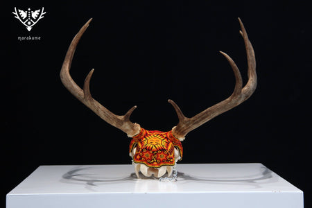 Huichol Deer Skull - Xunuri - Huichol Art - Marakame