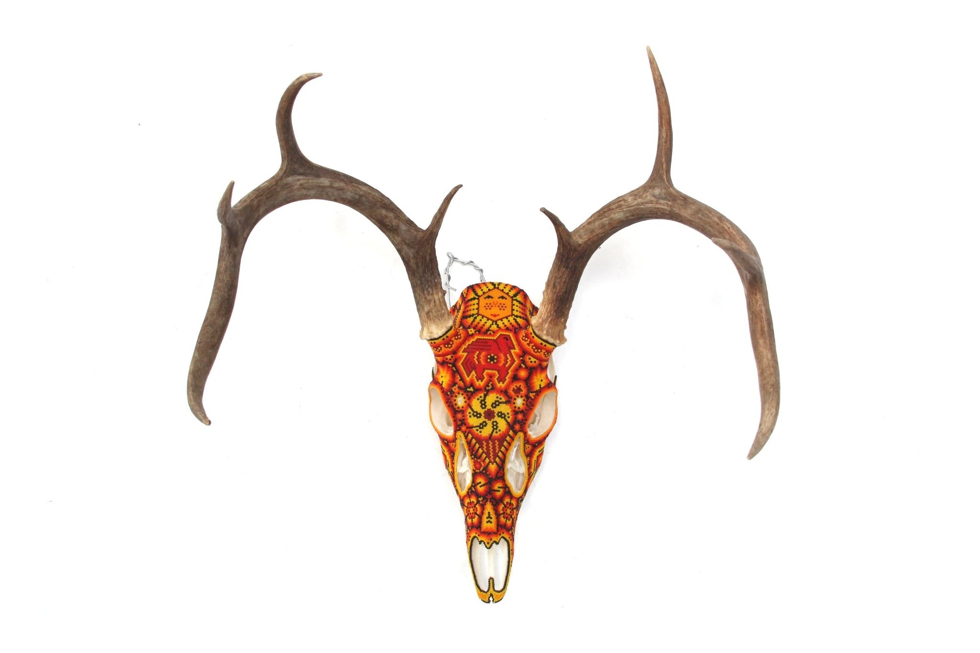 Huichol Deer Skull - Xunuri - Huichol Art - Marakame