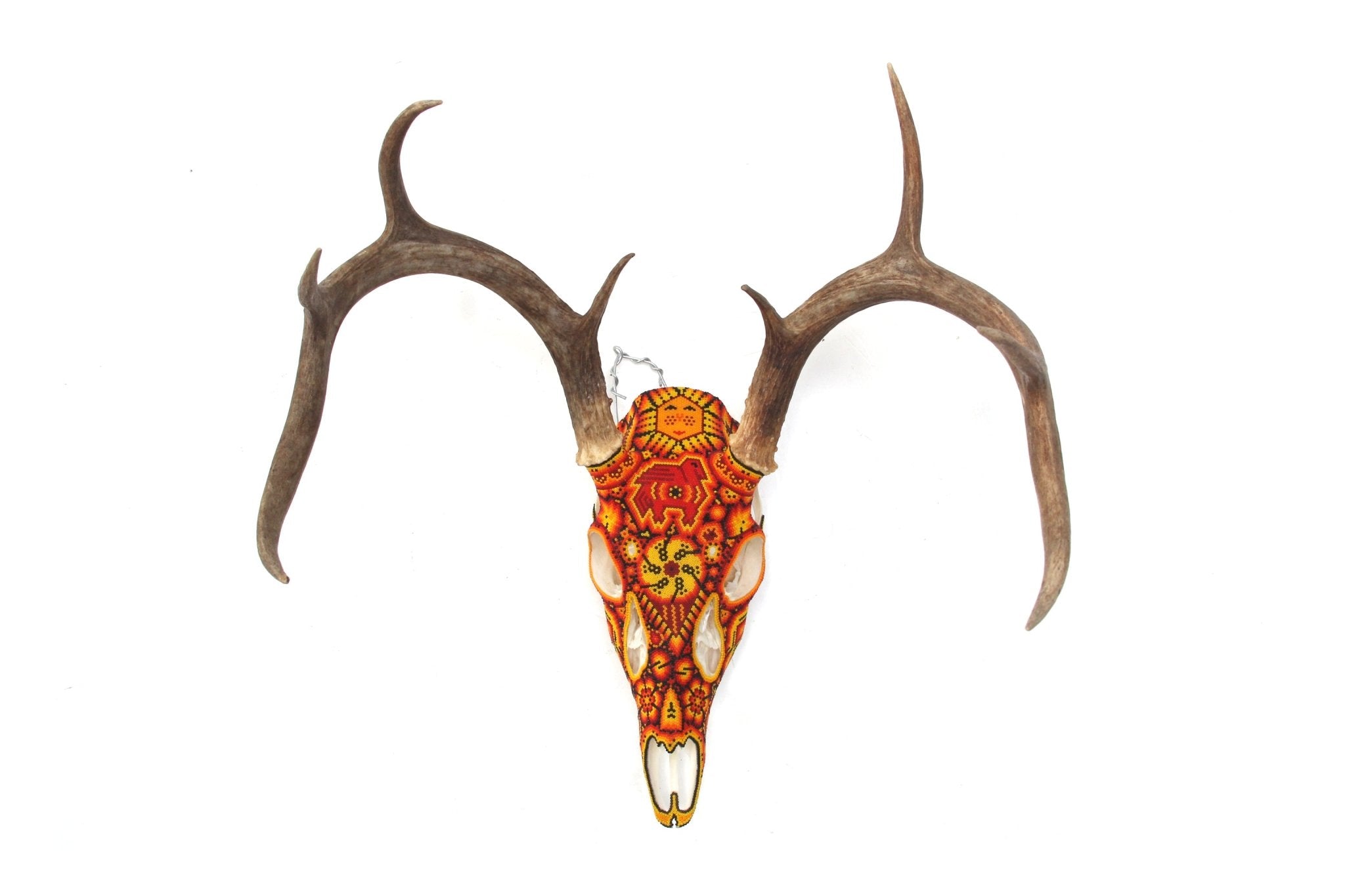 Crâne de cerf Huichol - Xunuri - Art Huichol - Marakame