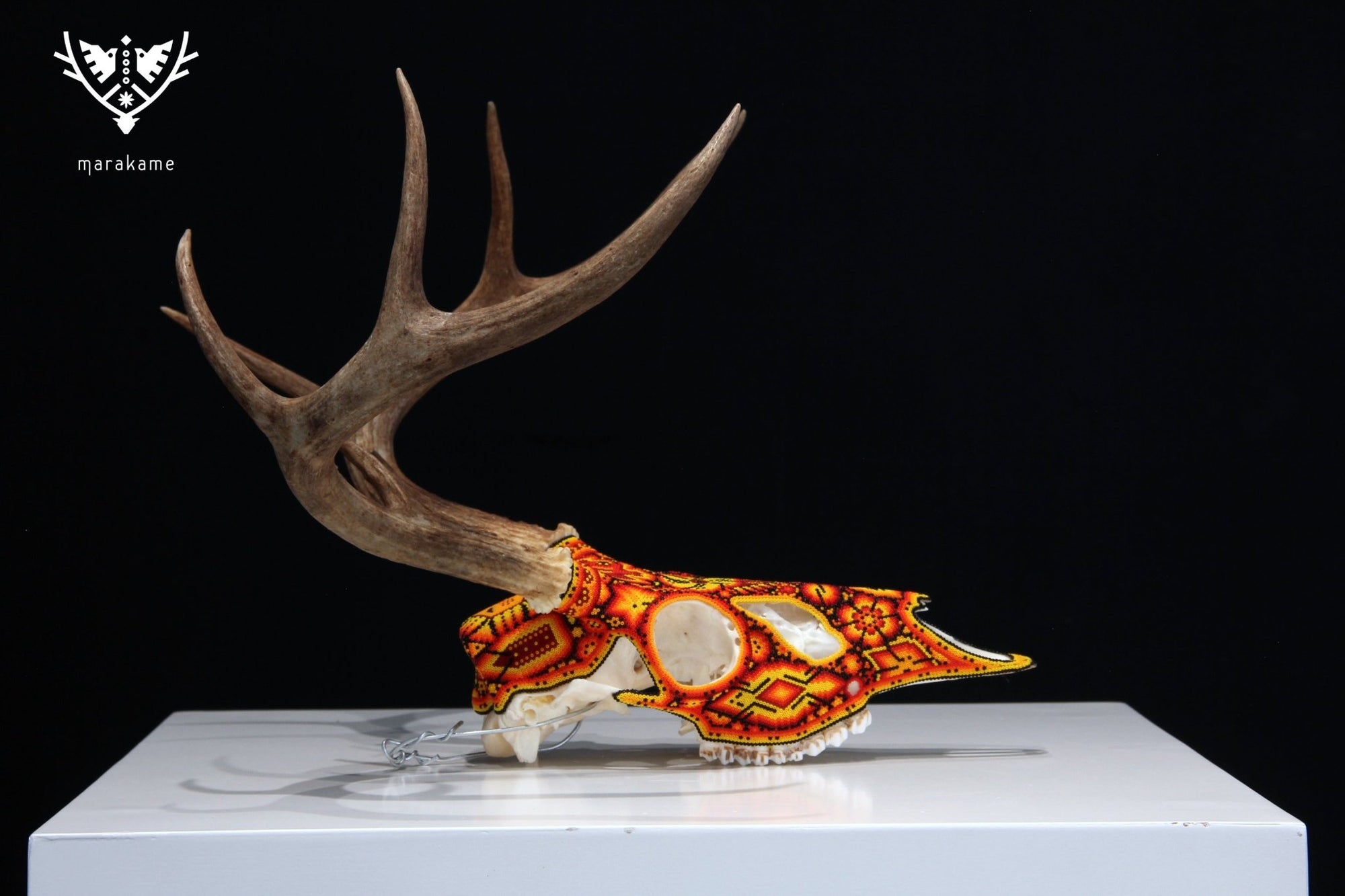 Huichol Deer Skull - Xunuri - Huichol Art - Marakame