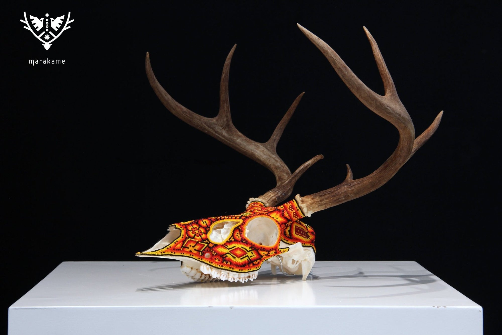 Huichol Deer Skull - Xunuri - Huichol Art - Marakame