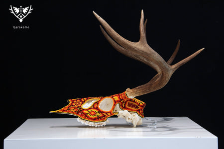 Huichol Deer Skull - Xunuri - Huichol Art - Marakame