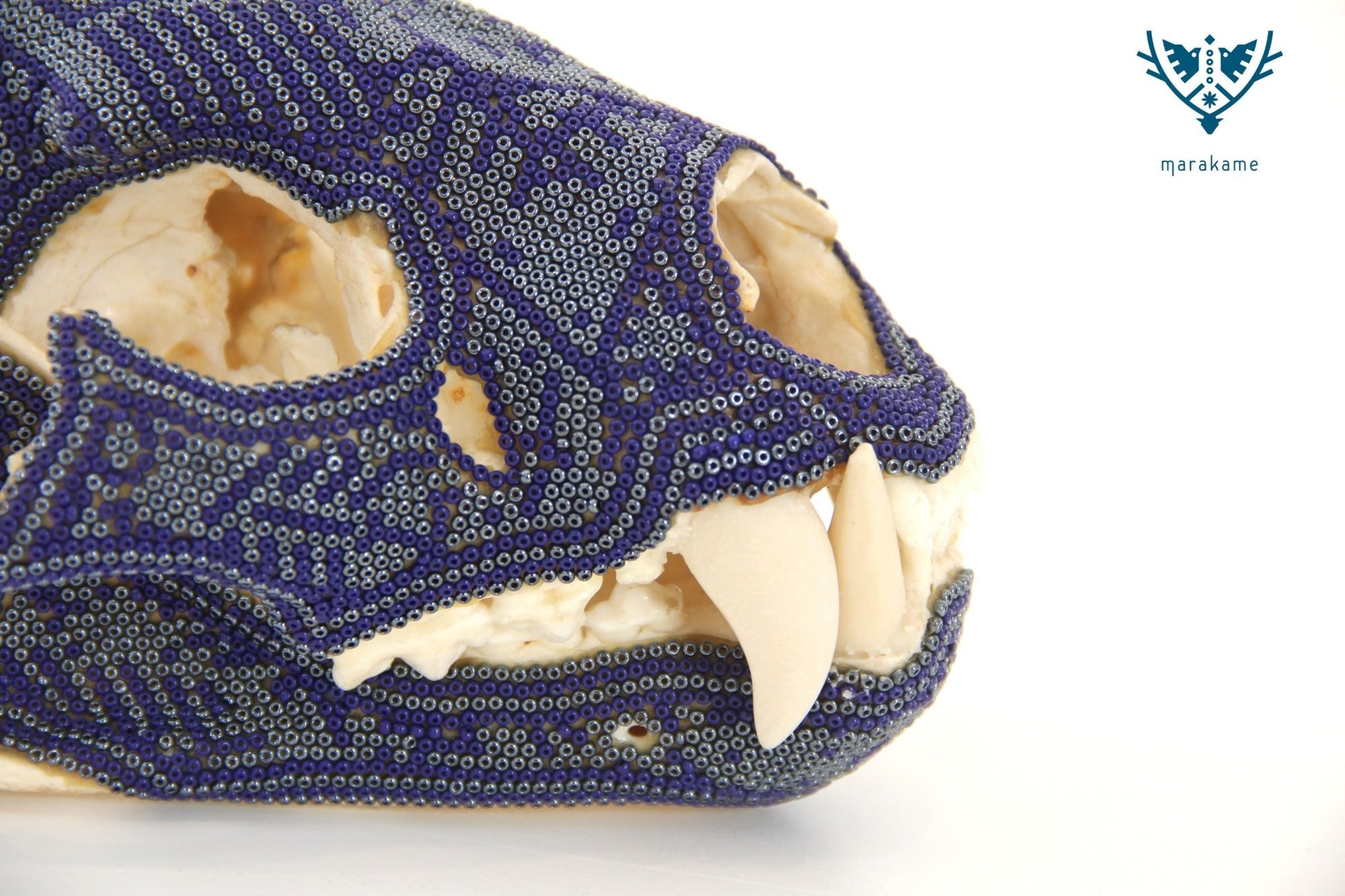 Crâne de félin Huichol - Ewi Ikú - Art Huichol - Marakame