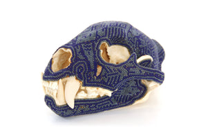 Huichol Feline Skull - Ewi Ikú - Huichol Art - Marakame