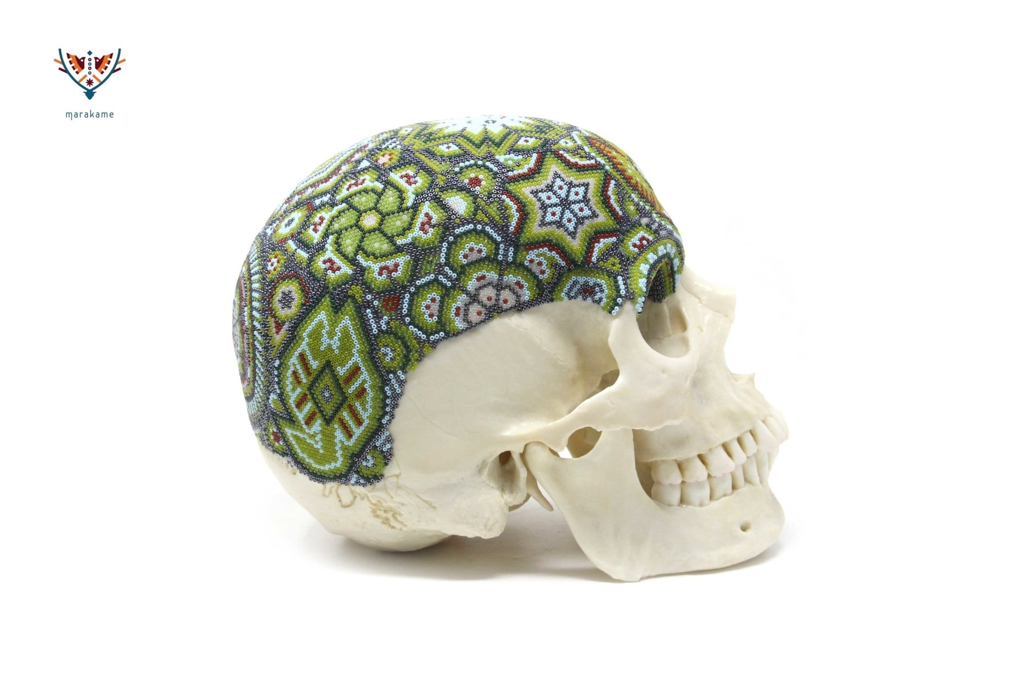 Cráneo Hiperrealista de Humano escala real "Hauxamanaka" - Arte Huichol - Marakame