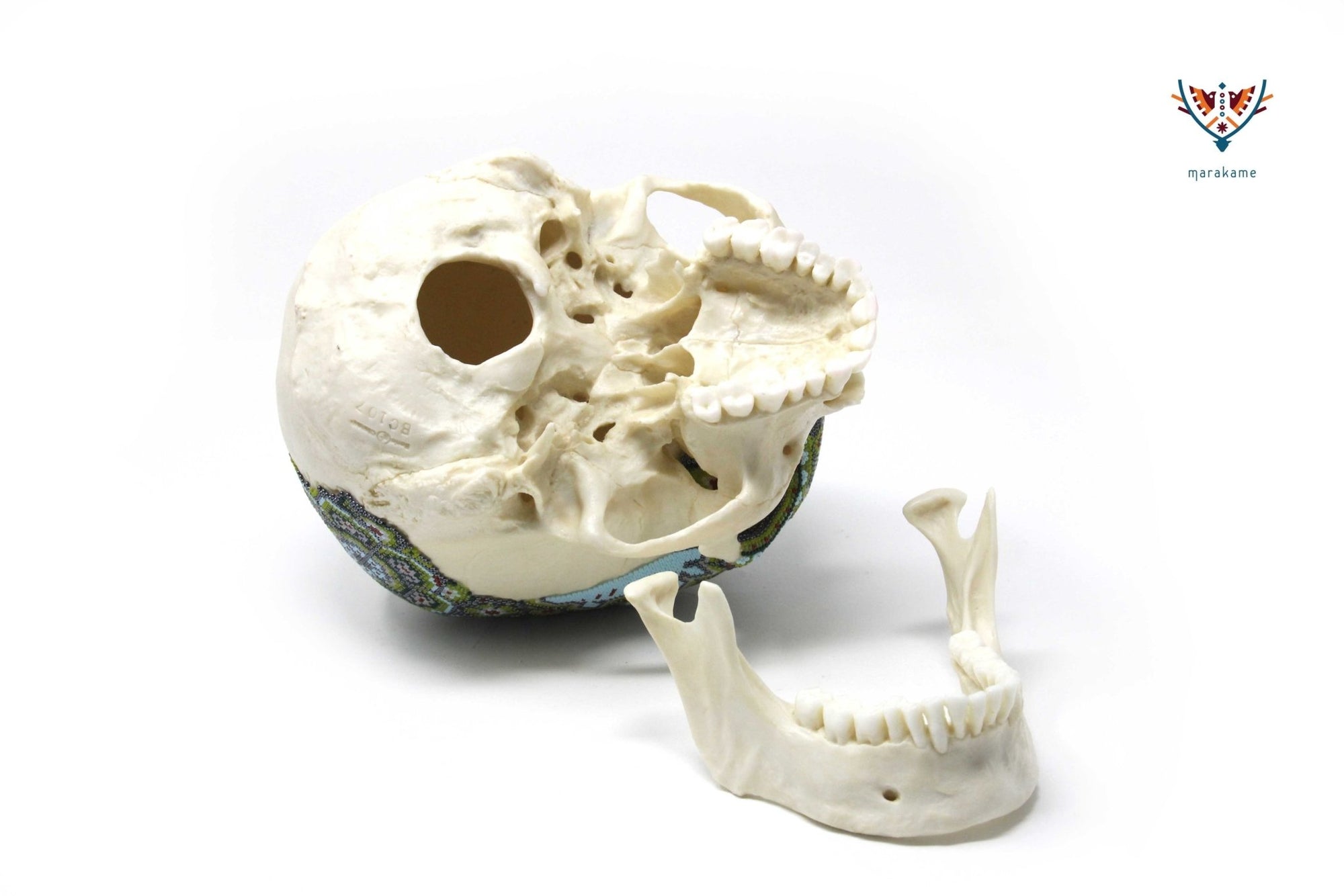 Cráneo Hiperrealista de Humano escala real "Hauxamanaka" - Arte Huichol - Marakame