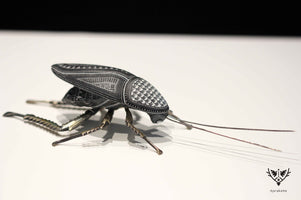 Cucaracha - Mani' naquichi' IV - Arte Huichol - Marakame