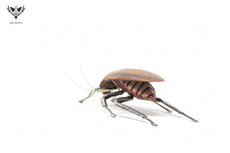 Cockroach - Mani 'XXI - Huichol Art - Marakame