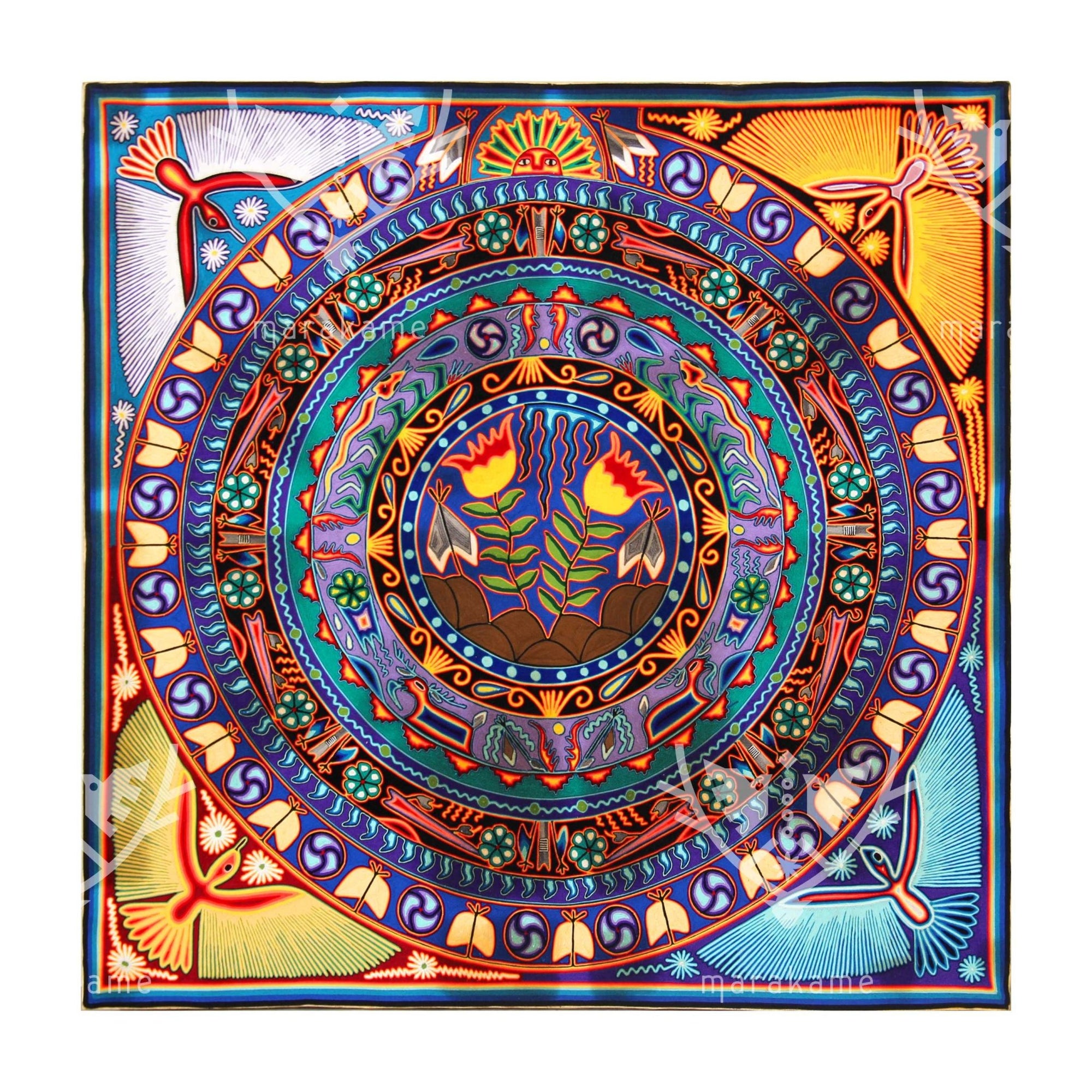 Nierika of Worsted Huichol Gemälde – Kieri – 150 x 150 cm. - Huichol-Kunst - Marakame